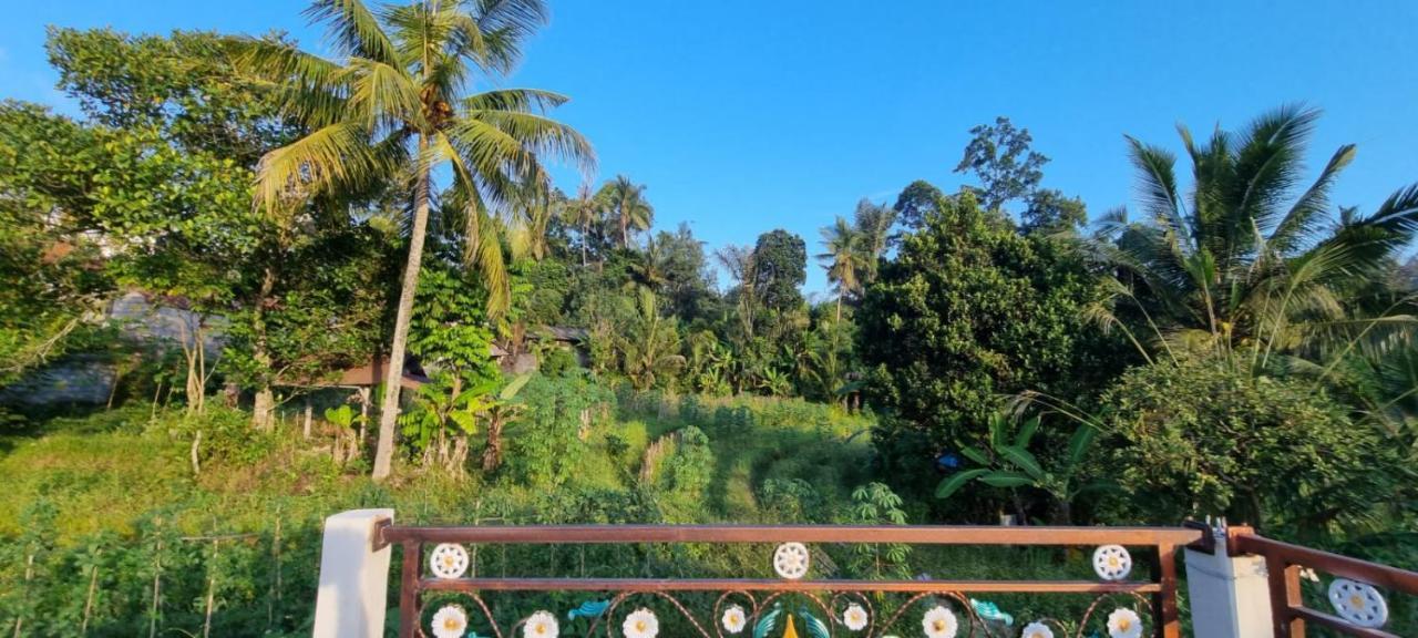 Sri Sedana Homestay Sidemen  Ngoại thất bức ảnh